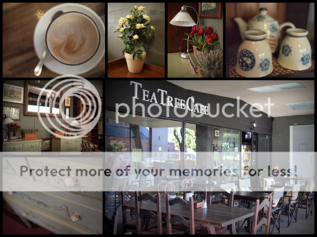 Tea Tree Cafe Along Life's Path