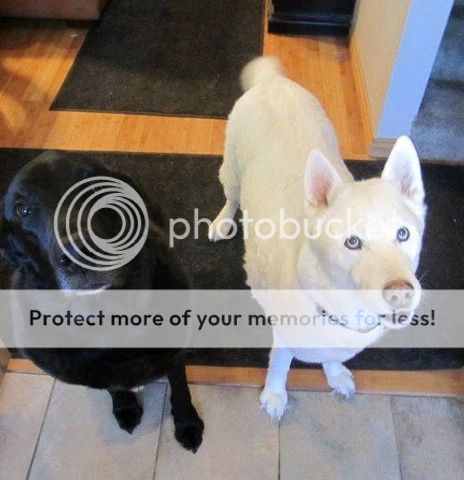 Photobucket Pictures, Images and Photos