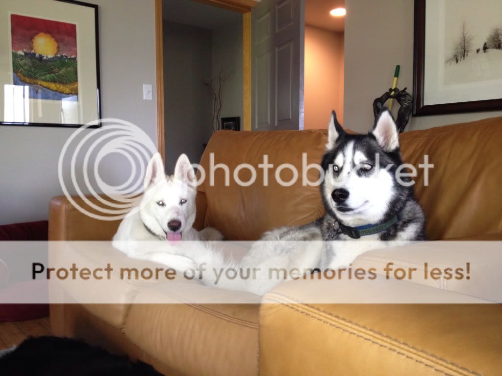Photobucket Pictures, Images and Photos
