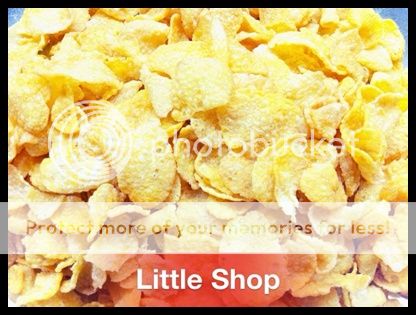 Q5 BìnhTân Little Hamster Shop Cung cấp sản phẩm cực tốt giá rẻ cho hamster Q5 BìnhTân Little Hamster Shop Cung cấp sản phẩm cực tốt giá rẻ cho hamster