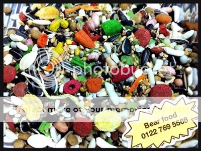 Q5 BìnhTân Little Hamster Shop Cung cấp sản phẩm cực tốt giá rẻ cho hamster Q5 BìnhTân Little Hamster Shop Cung cấp sản phẩm cực tốt giá rẻ cho hamster