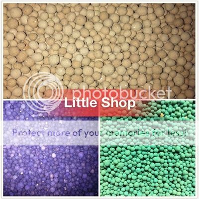 Q5 BìnhTân Little Hamster Shop Cung cấp sản phẩm cực tốt giá rẻ cho hamster Q5 BìnhTân Little Hamster Shop Cung cấp sản phẩm cực tốt giá rẻ cho hamster