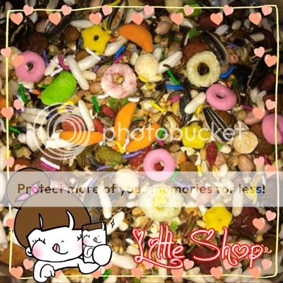 Q5 BìnhTân Little Hamster Shop Cung cấp sản phẩm cực tốt giá rẻ cho hamster Q5 BìnhTân Little Hamster Shop Cung cấp sản phẩm cực tốt giá rẻ cho hamster