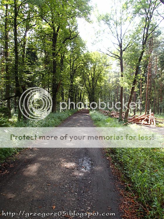  photo 10WdrodzedoSuszca_zpsc5f906d3.jpg