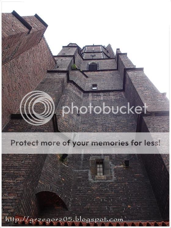  photo 10_zps83c1af6a.jpg