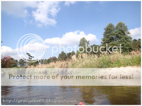  photo 11_zps3f4cdc05.jpg