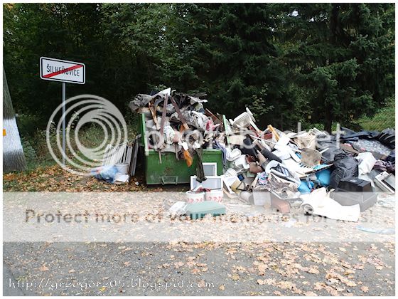  photo 12_zps5a7455c5.jpg