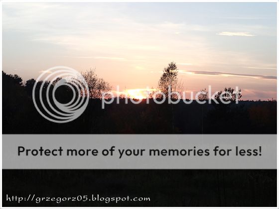  photo 13_zpsf0ef71cd.jpg