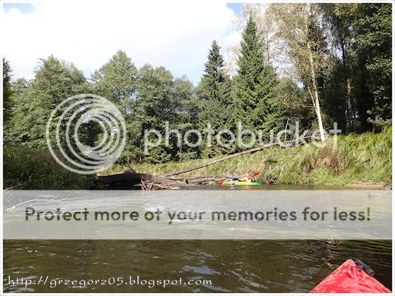  photo 14_zps06cf14b5.jpg