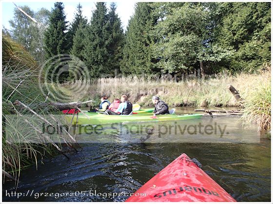  photo 16_zpsff2ab57a.jpg