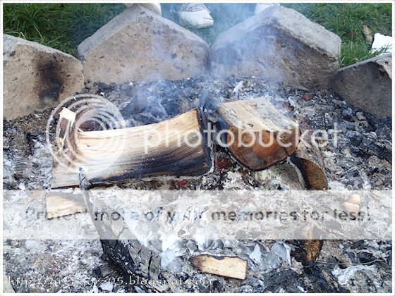  photo 25_zpseea8b6b3.jpg