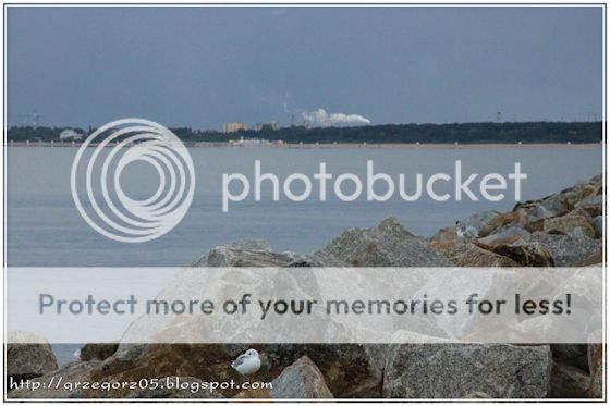  photo 2_zpshis8qbf8.jpg