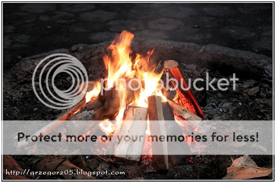  photo 3_zps3huxx2bv.jpg