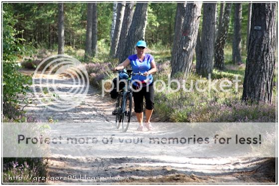  photo 3_zpsiewevrhb.jpg