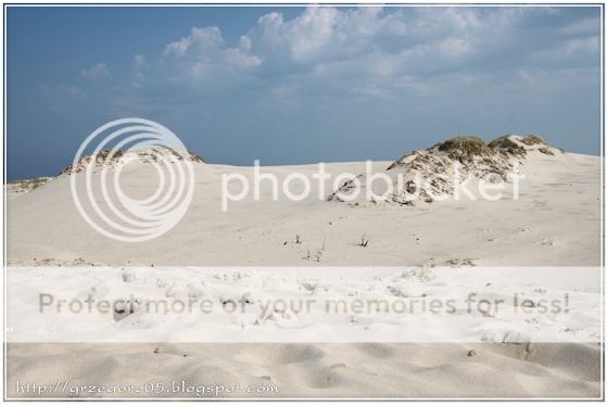  photo 4_zpswahbpgk3.jpg