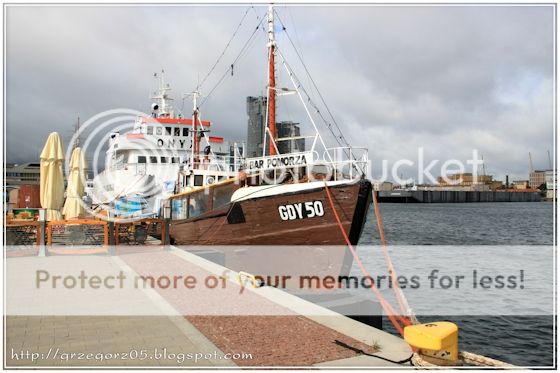  photo 5_zpsfutx2unw.jpg