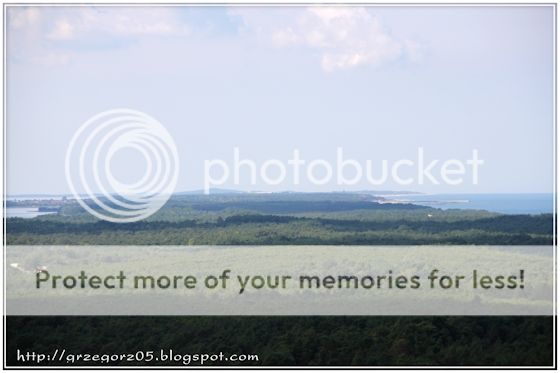  photo 6_zps8dcbsx8s.jpg