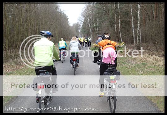  photo 6_zps9eee7180.jpg