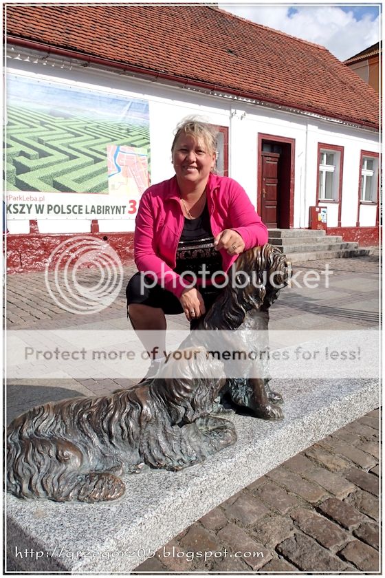  photo 7f_zps3cqo4tpp.jpg