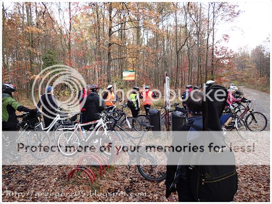  photo 8_zps3c347c1b.jpg