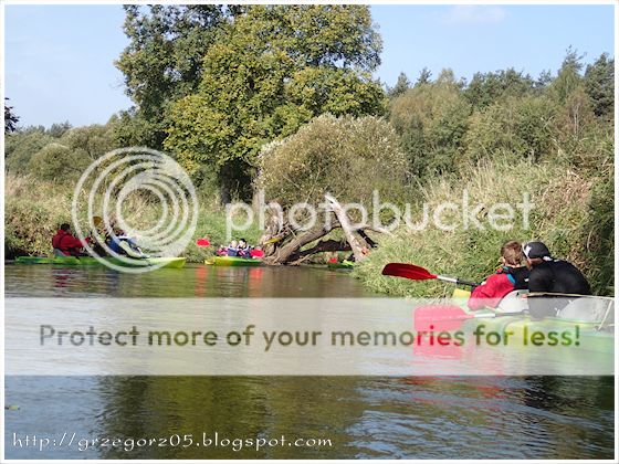  photo 8_zps52da01bd.jpg