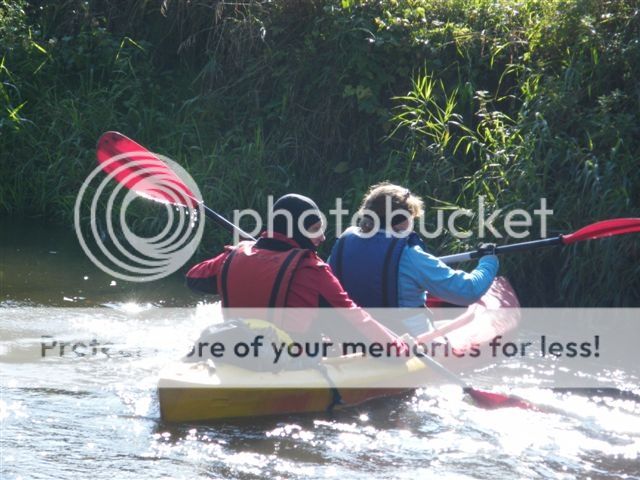  photo 8_zps55fe2535.jpg