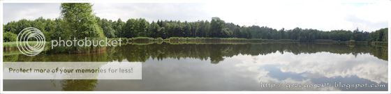  photo 8_zpsf63b5f59.jpg