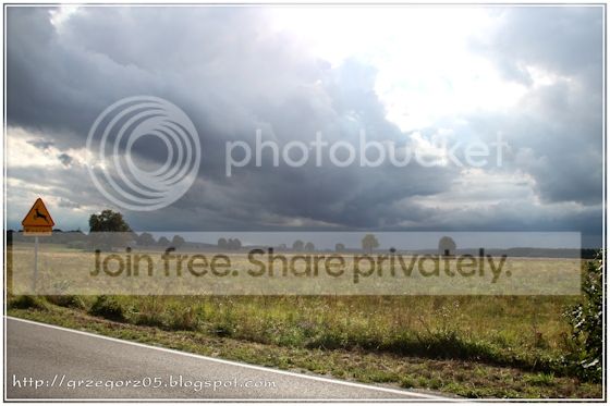  photo 8_zpsuojmvwl3.jpg