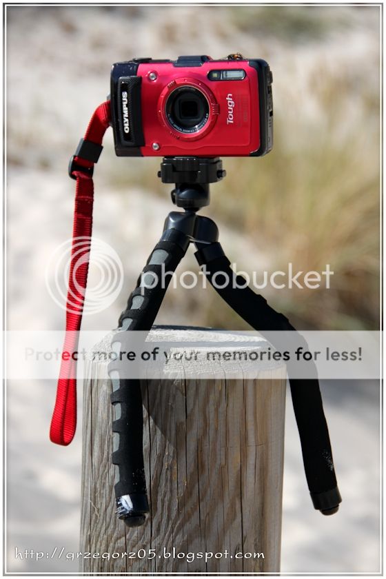  photo 8_zpsyyjjvmft.jpg