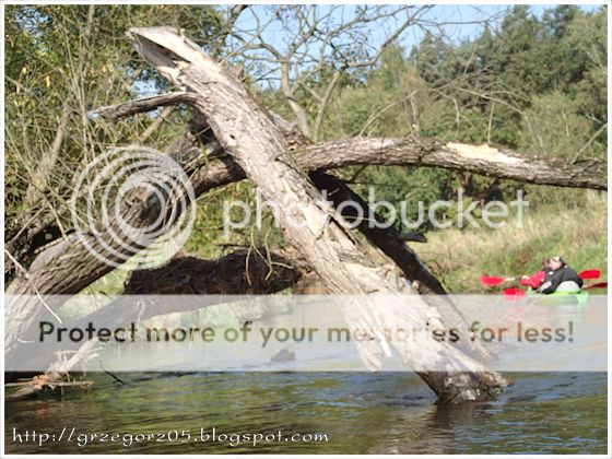  photo 9_zps5db33ec4.jpg