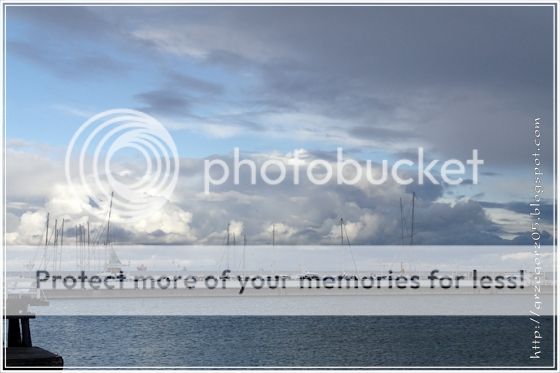  photo 9_zpsh6eucd8g.jpg