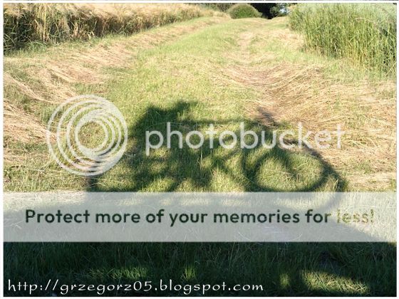  photo anna16_zps29fedb0f.jpg