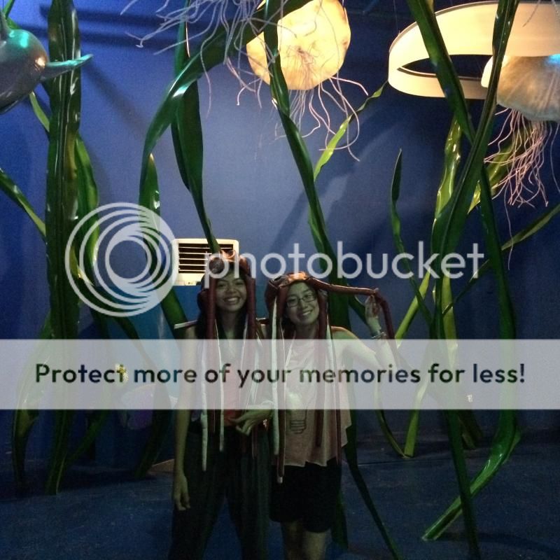 photo IMG_5836_zps9658350a.jpg