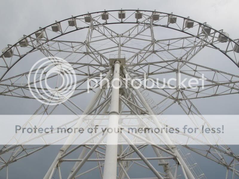 photo IMG_8518_zps119514db.jpg
